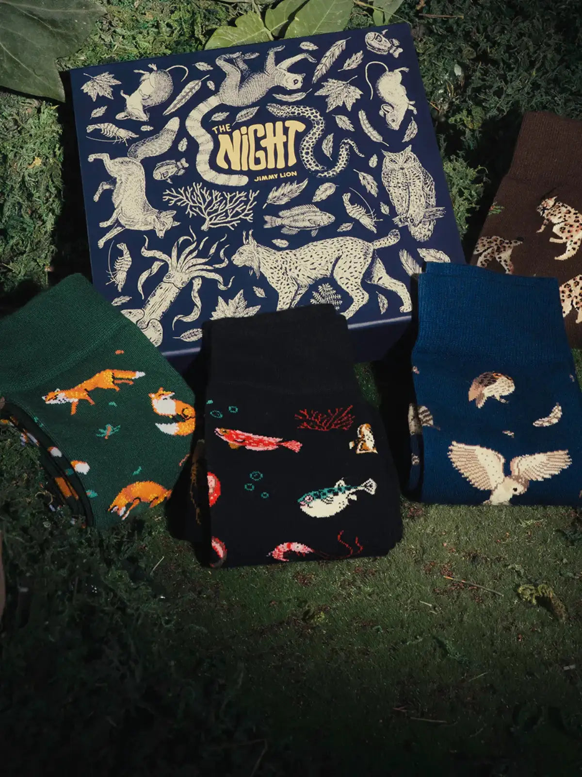 Cómo combinar calcetines Jimmy Lion con tus looks diarios