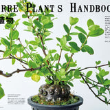 BRUTUS Magazine No. 1030 