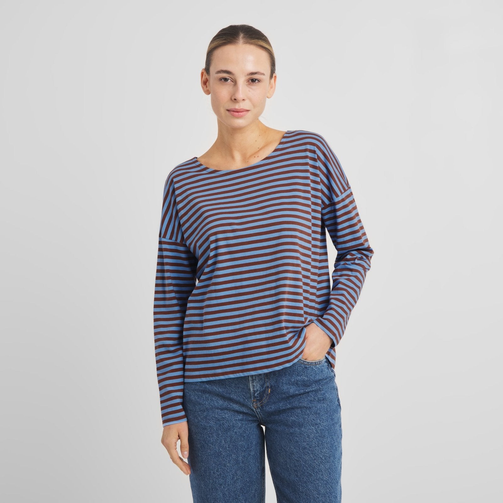 Camiseta DEDICATED Humledal Stripes - Cappuccino Brown/Cornflower Blue - vista oficial 1