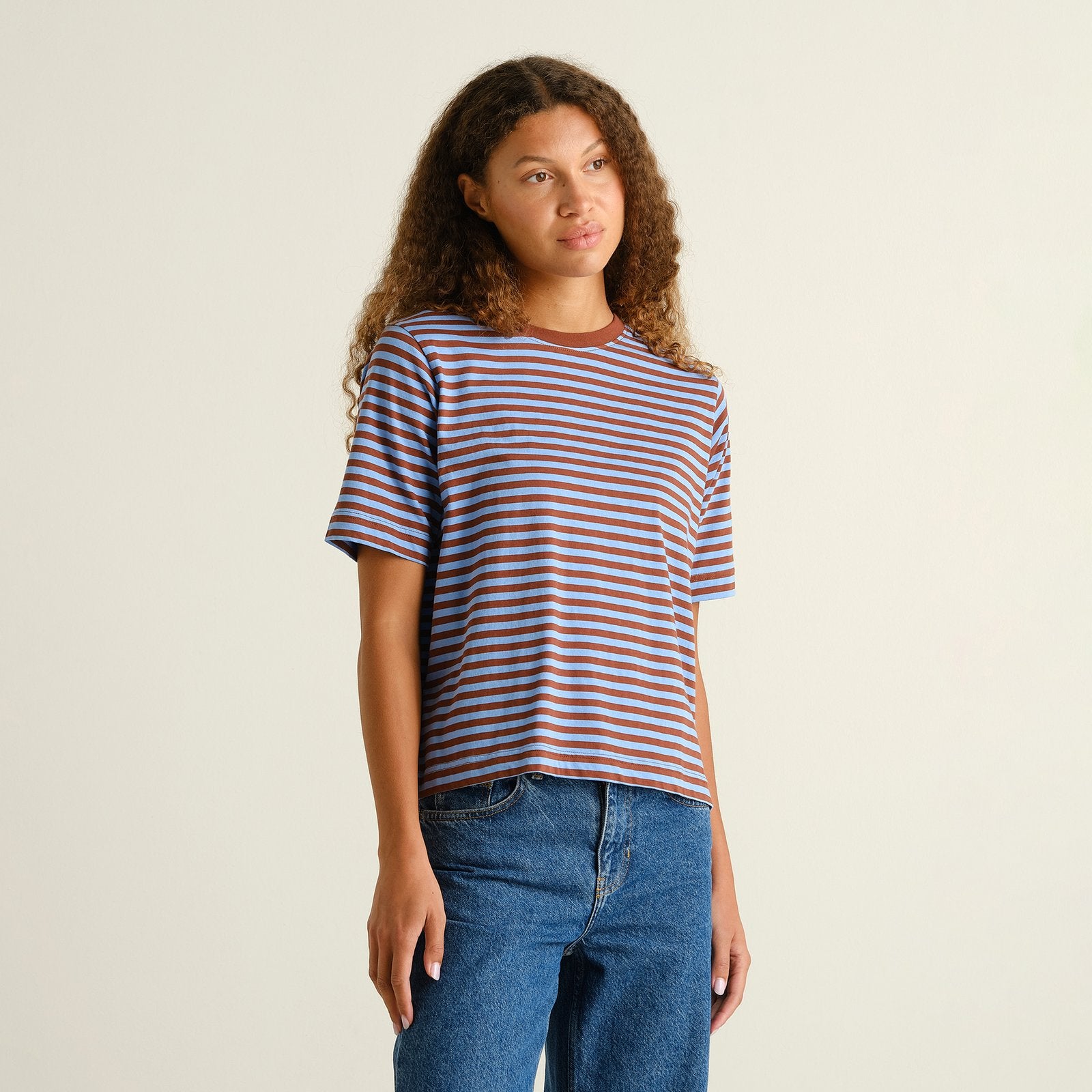 Camiseta DEDICATED Vadstena Stripes - Cappuccino Brown/Cornflower Blue - vista oficial 2