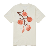 Camiseta BIRDEN Aroma & Flavours