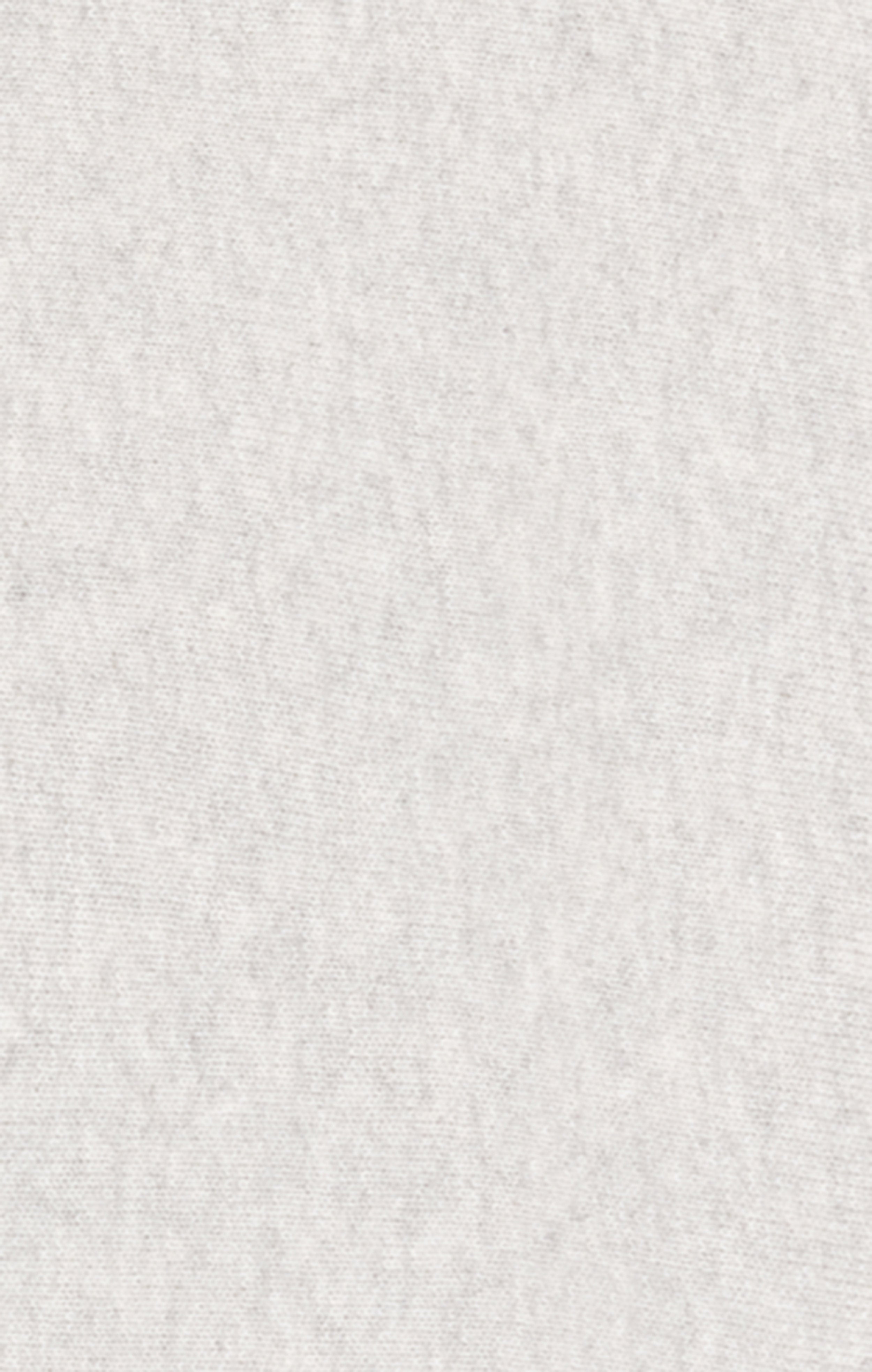 Sudadera con Capucha CHAMPION Reverse Weave Light Grey detalle del tejido