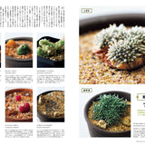 BRUTUS Magazine No. 1030 