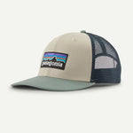 Gorra Patagonia P-6 Logo Trucker Pumice frontal oficial