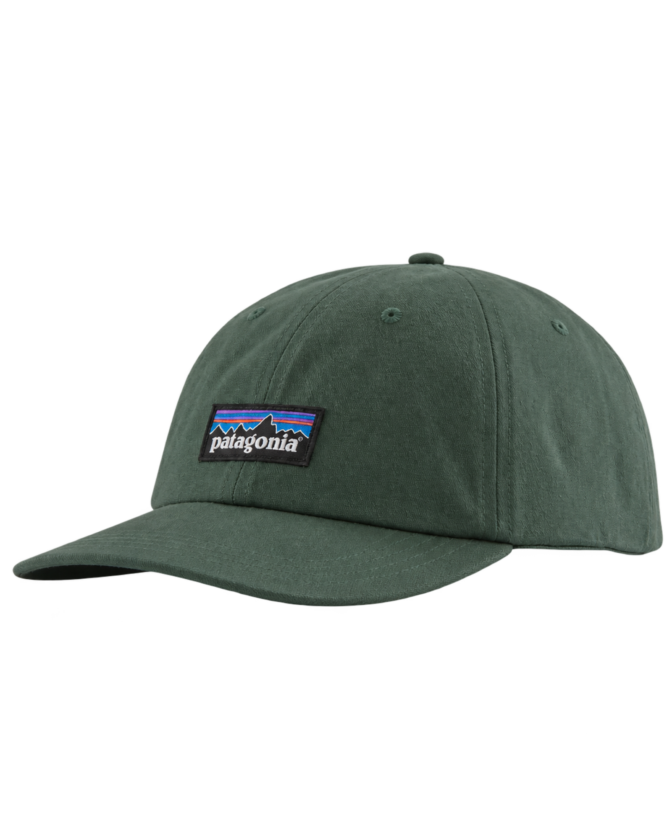 Gorra Patagonia P-6 Label Trad Canopy Green flat frontal transparente