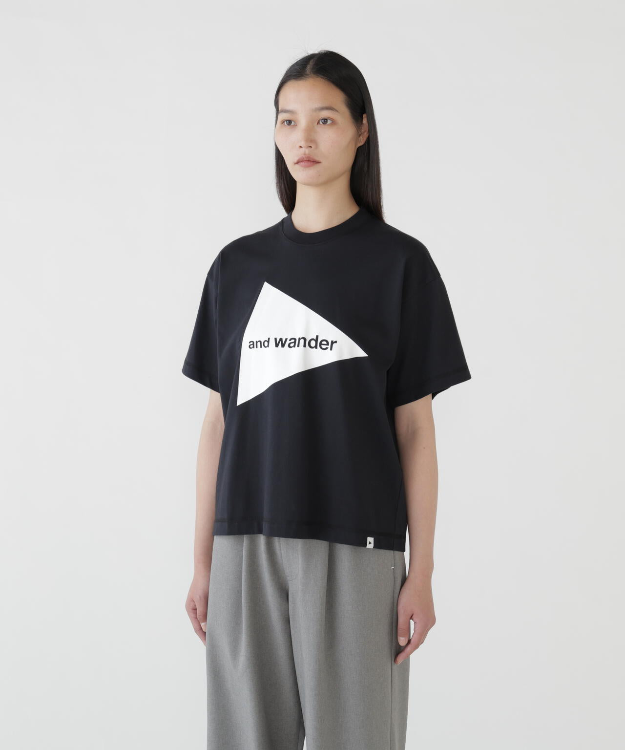 Camiseta AND WANDER Big Logo SS T Black - vista oficial
