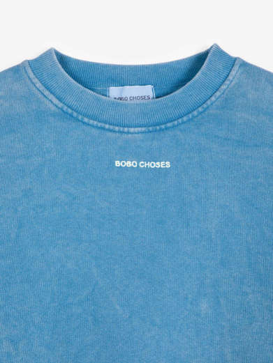 Foto oficial BOBO CHOSES 4