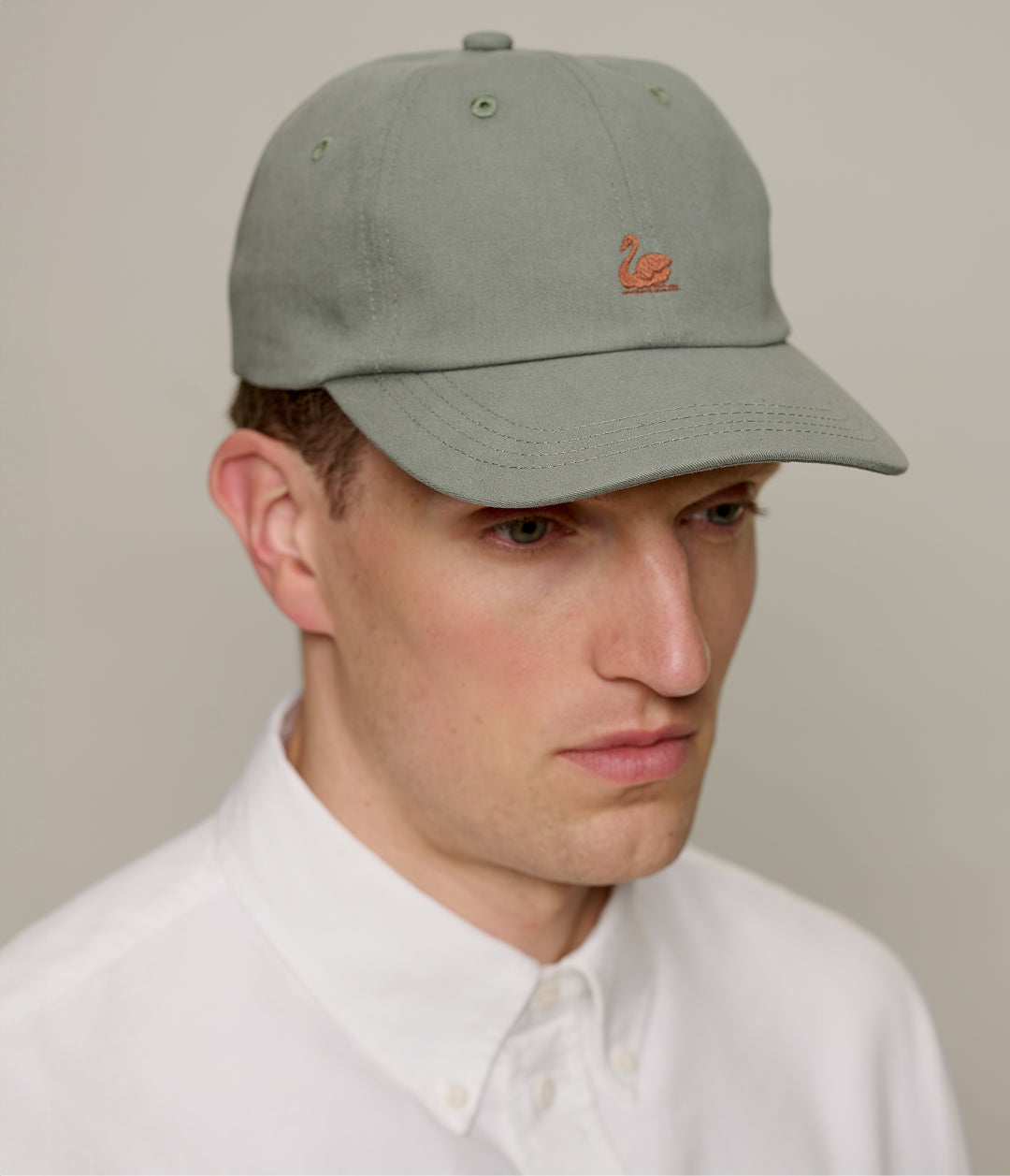 Diabild