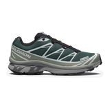 Zapatillas SALOMON XT-6 Bistro Green / Greenm / Black