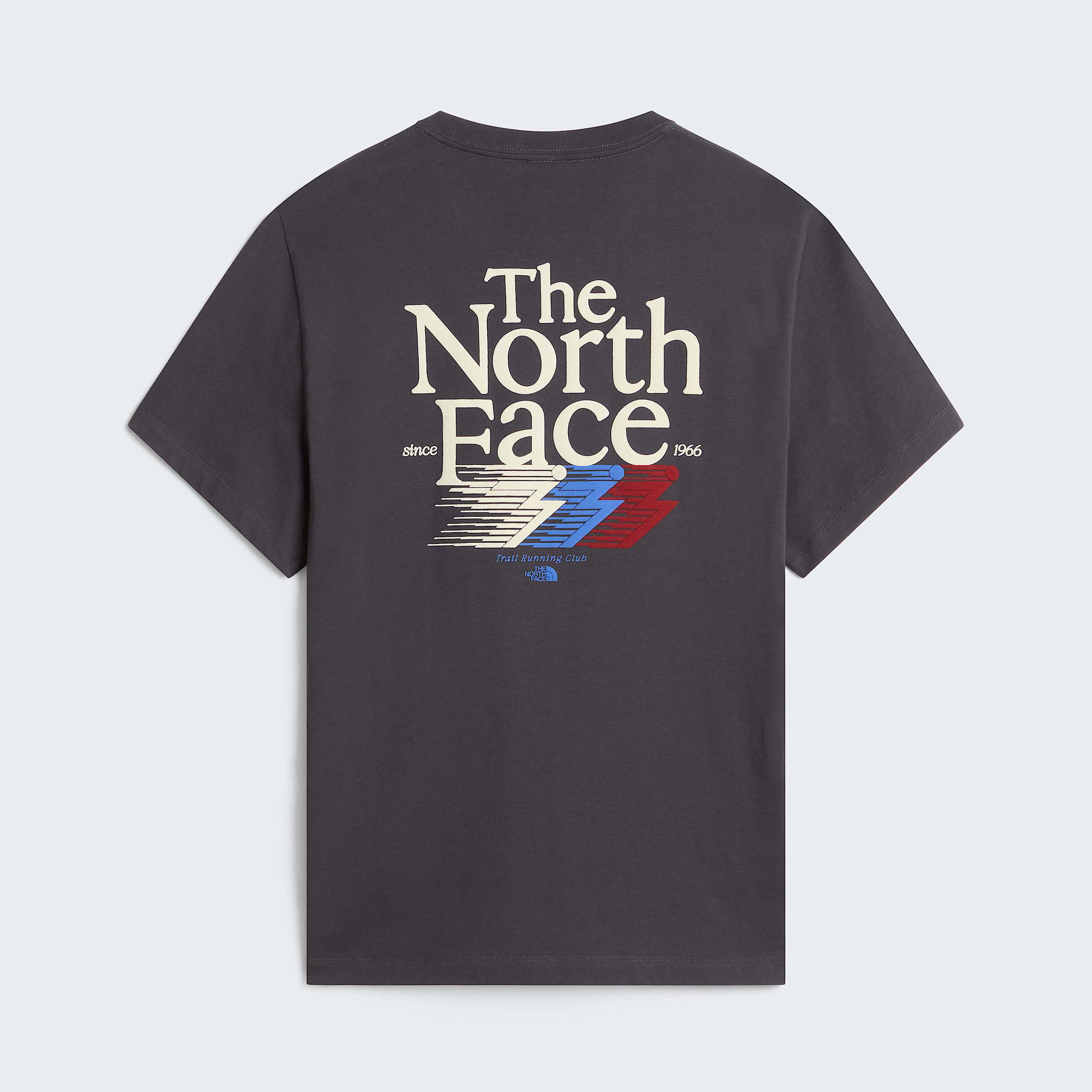 Camiseta THE NORTH FACE Retro Trail Anthracite Grey
