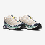 Zapatillas SALOMON XT-6 Tapioca / Spellbound / Lichen