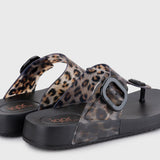 Cangrejera IGOR Bari Leo Negro