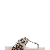 Cangrejera IGOR Bari Leo Sand