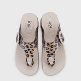 Cangrejera IGOR Bari Leo Sand