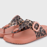 Cangrejera IGOR Bari Leo Terracota