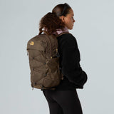 THE NORTH FACE Borealis Luxe Rucksack in Rauchbraun und Goldmetallic
