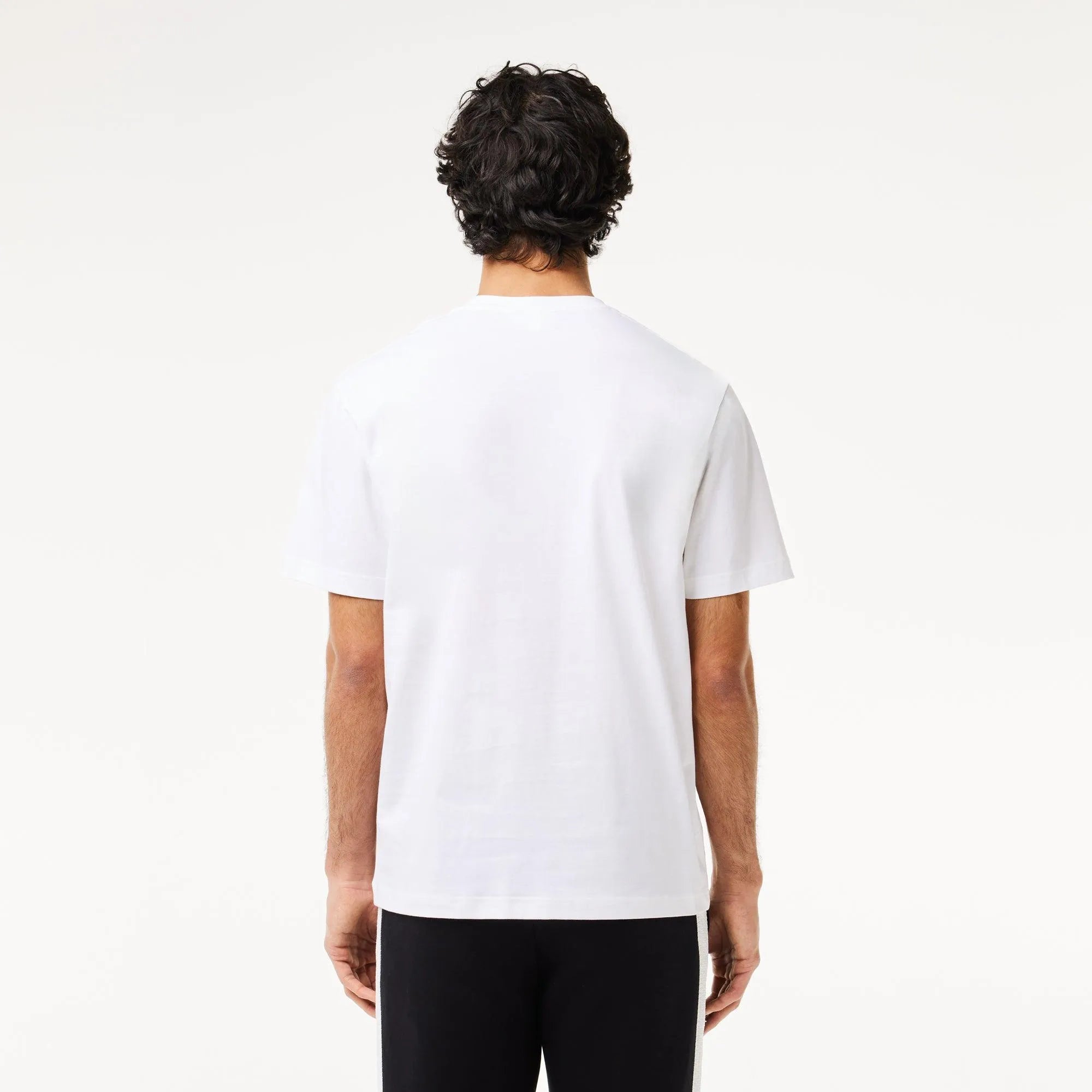 Camiseta LACOSTE Estampado Contraste Blanco - ECRU