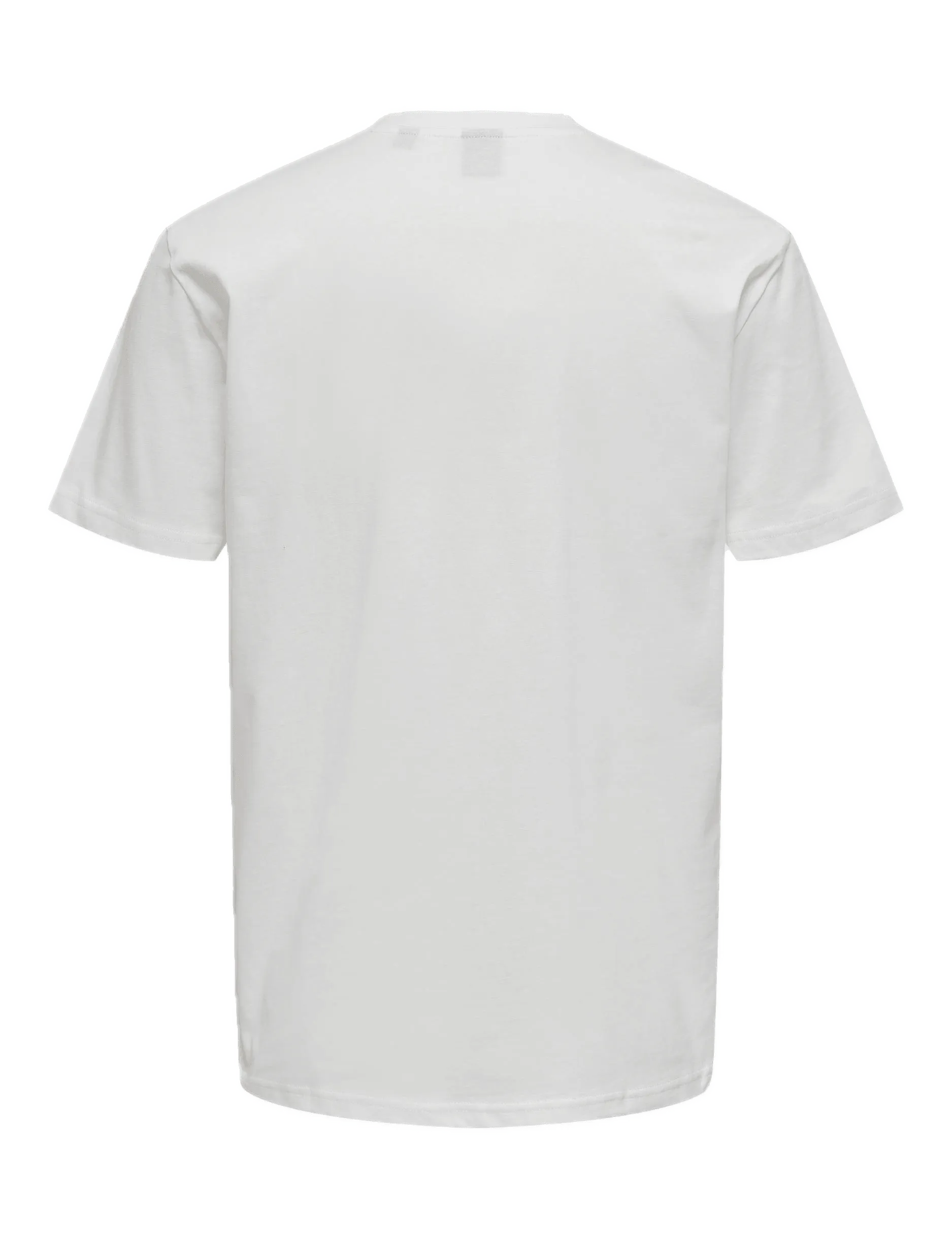 Camiseta Only&Sons Ole Gear Cloud Dancer - ECRU