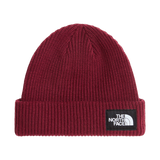 Gorro THE NORTH FACE Salty Lined Burgundy Crush — vista frontal