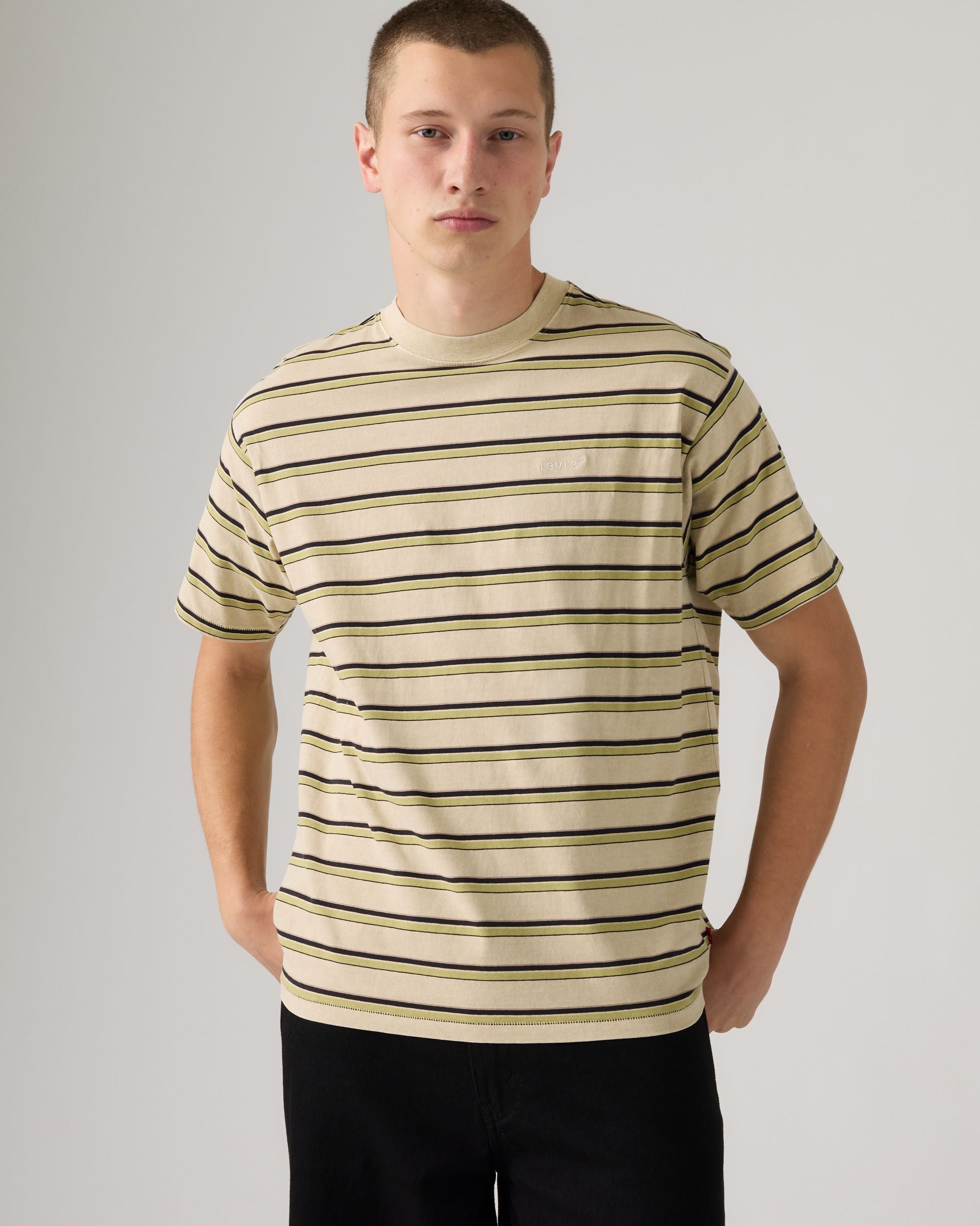 Camiseta LEVI'S Red Tab Vintage Martin Stripe Winter Pear - modelo