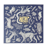 Pack de 4 Calcetines JIMMY LION Night