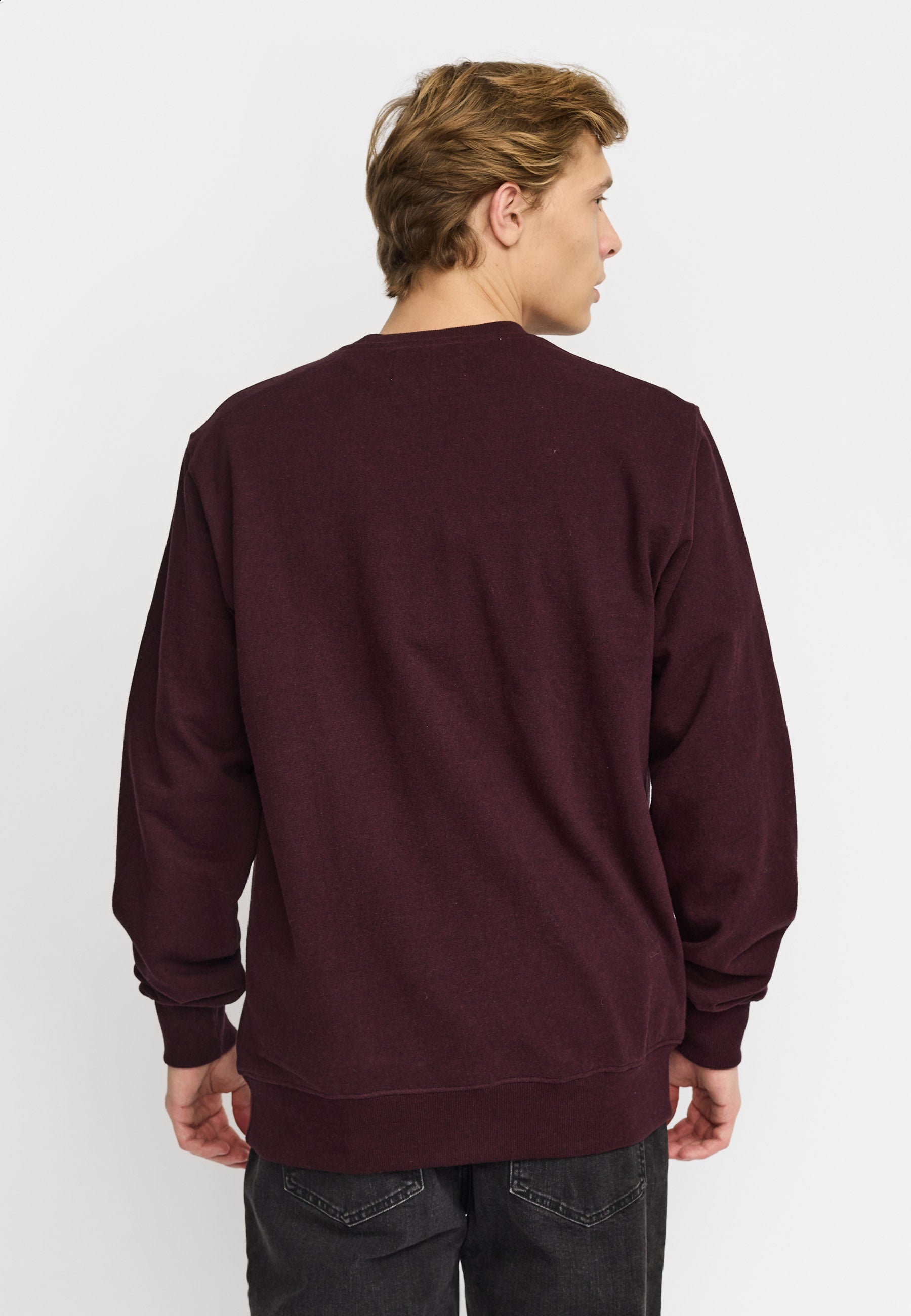 Sudadera REVOLUTION Application CRO Burdeos, modelo espalda