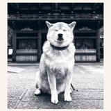 The Monocle Book of Japan - ECRU