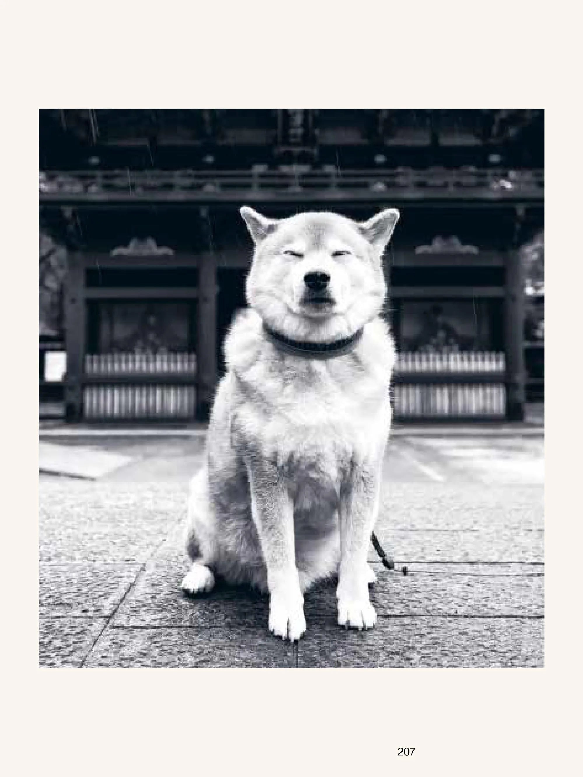 The Monocle Book of Japan - ECRU