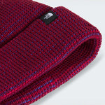 THE NORTH FACE Fisherman Beanie Burgundy Crush Multi vista 3