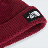 THE NORTH FACE Salty Lined Burgundy Crush vista 3
