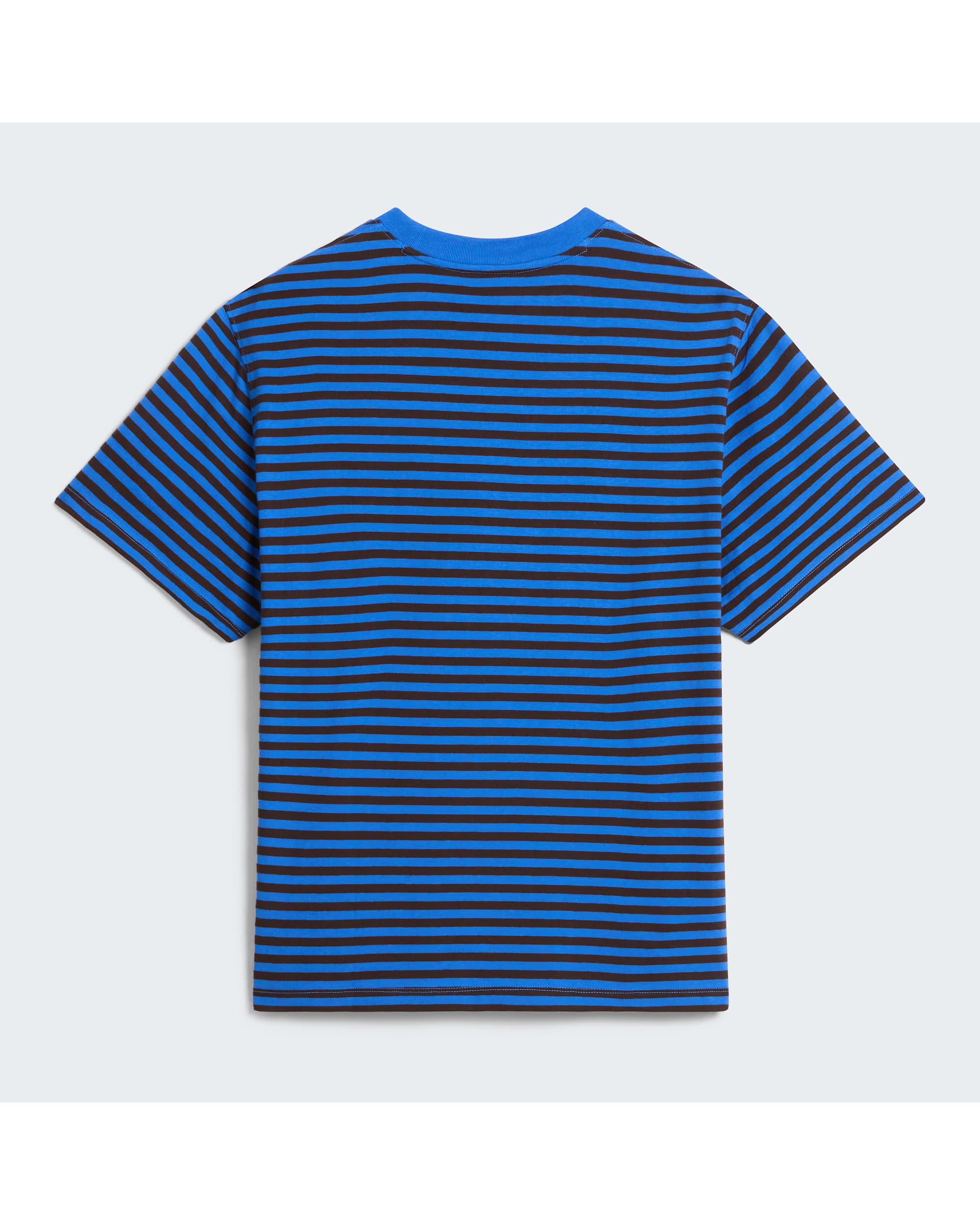 Camiseta The North Face Vista Stripe Active Blue flat trasero