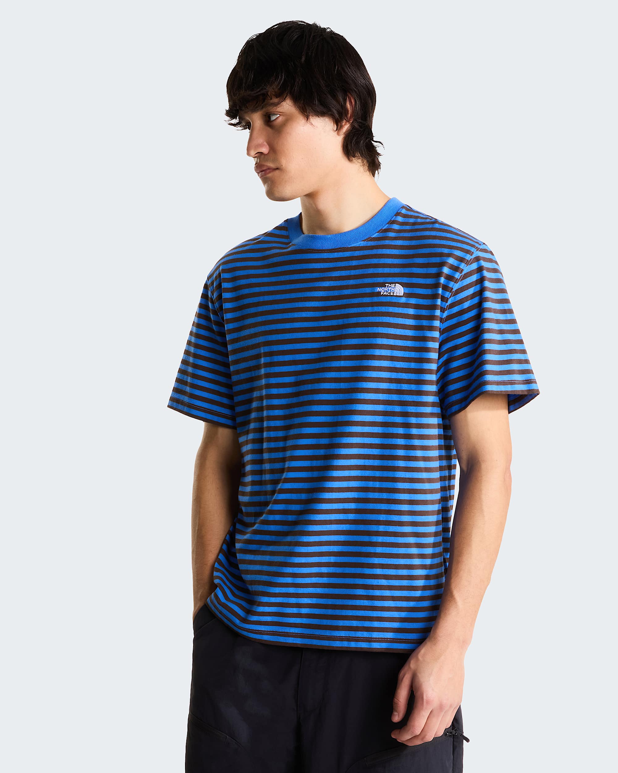 Camiseta The North Face Vista Stripe Active Blue en modelo