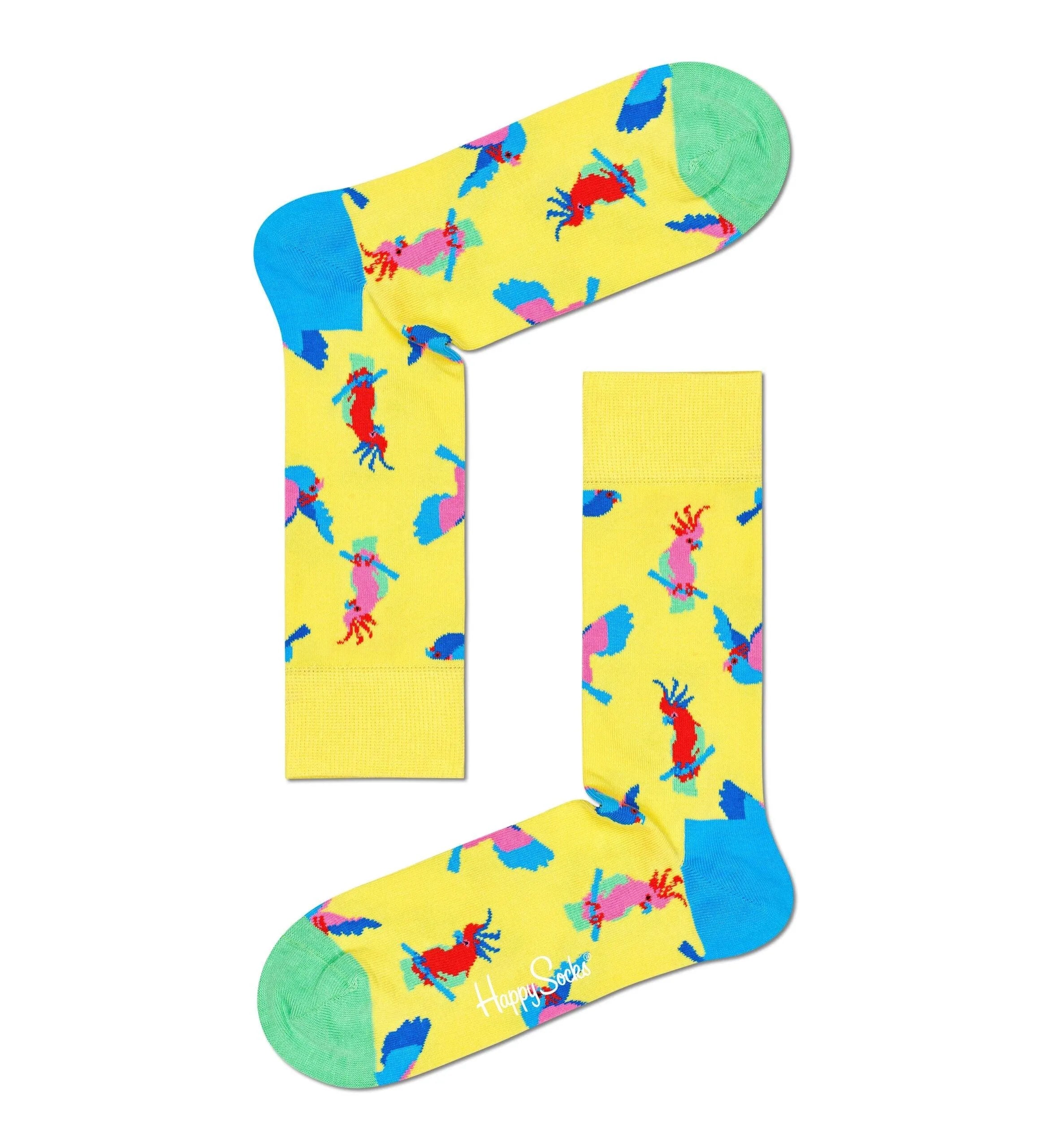 Calcetines Cockatoo - ECRU