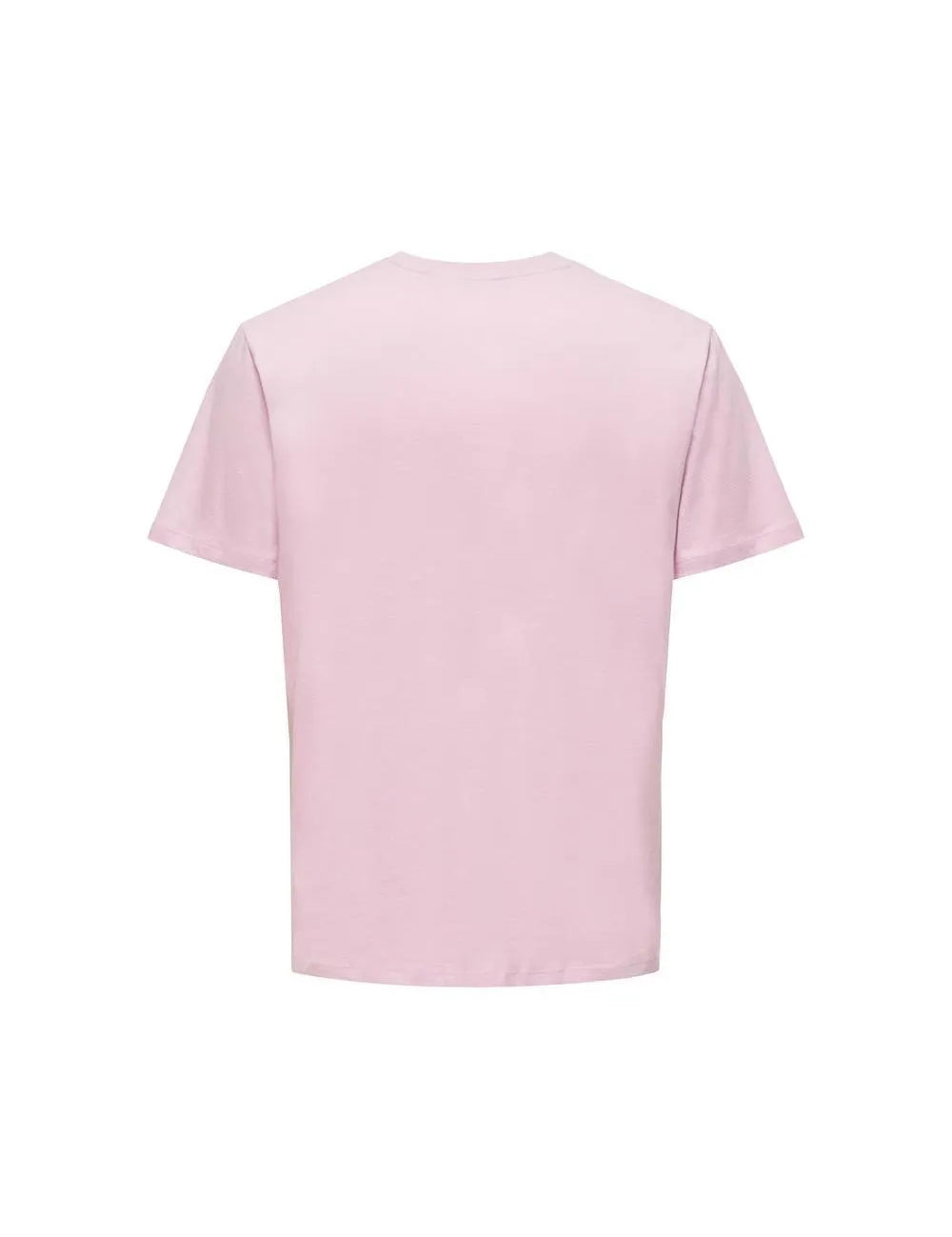 Camiseta Asbjorn - ECRU