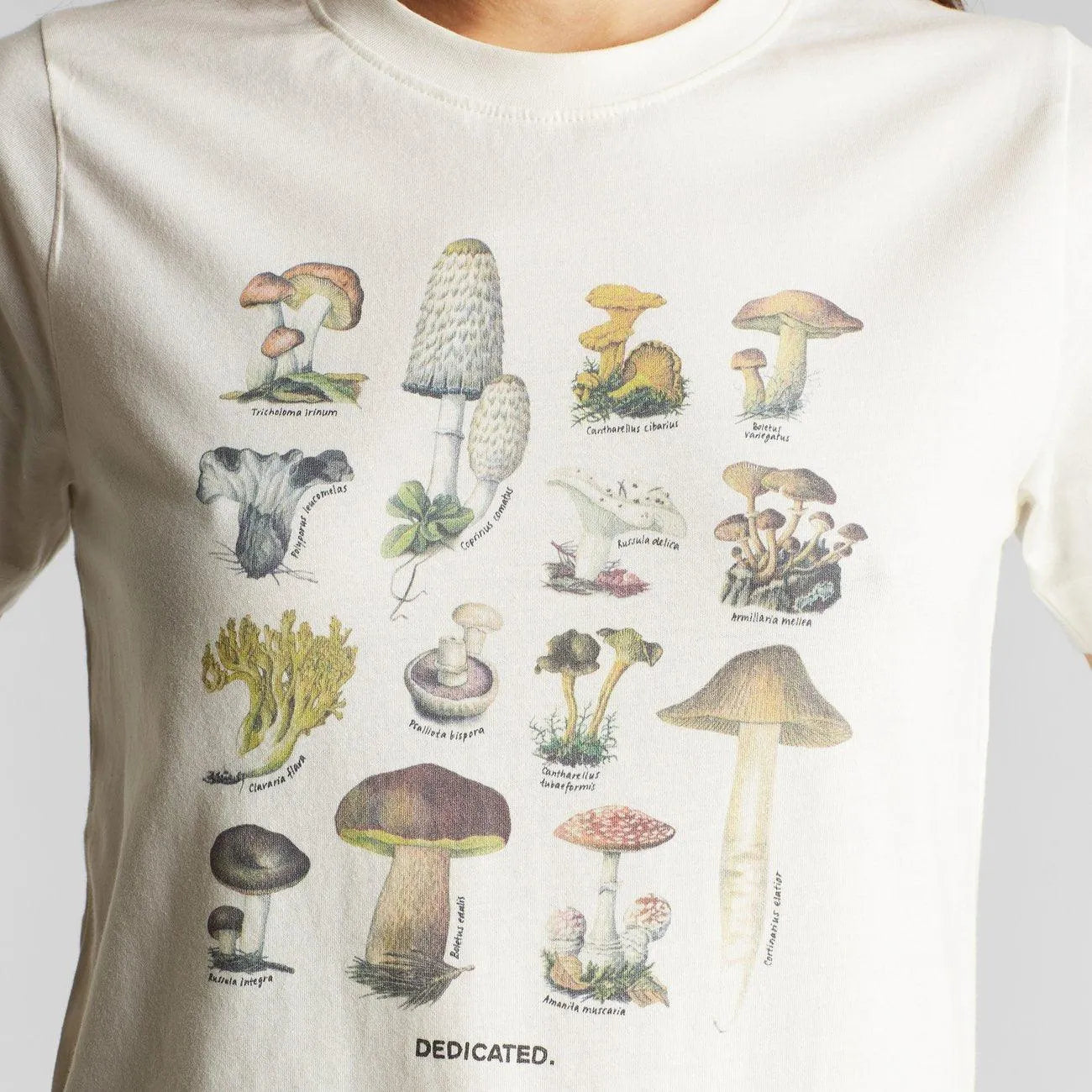 Camiseta Mysen Vintage Mushroom - ECRU