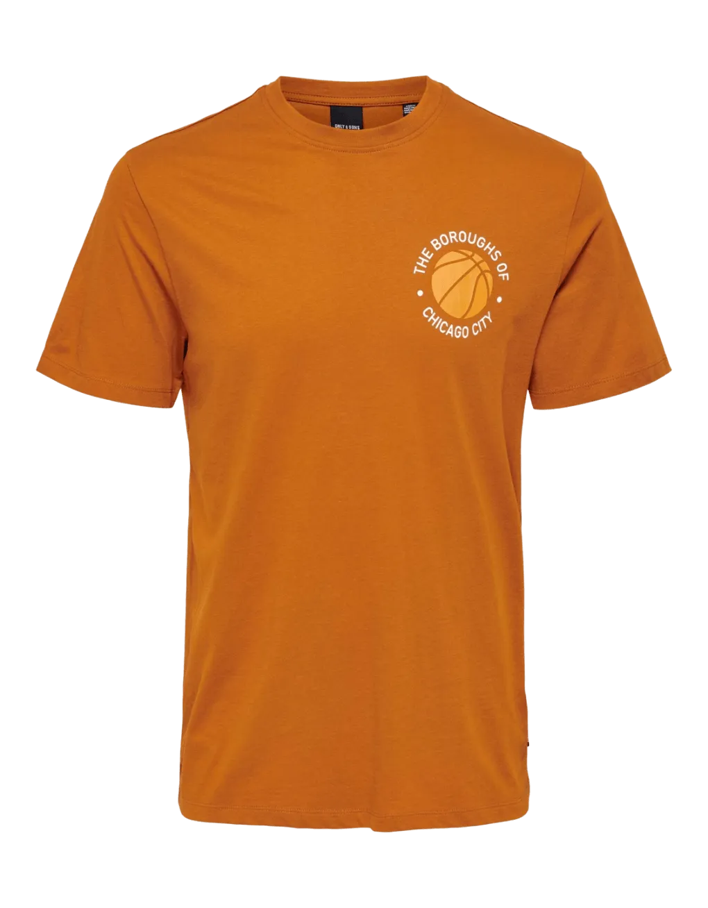 Camiseta Reglar Jake Collegiate - ECRU