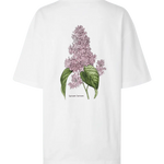 Camiseta Souvenir 11725 - ECRU