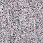 Pantalones Harena - ECRU