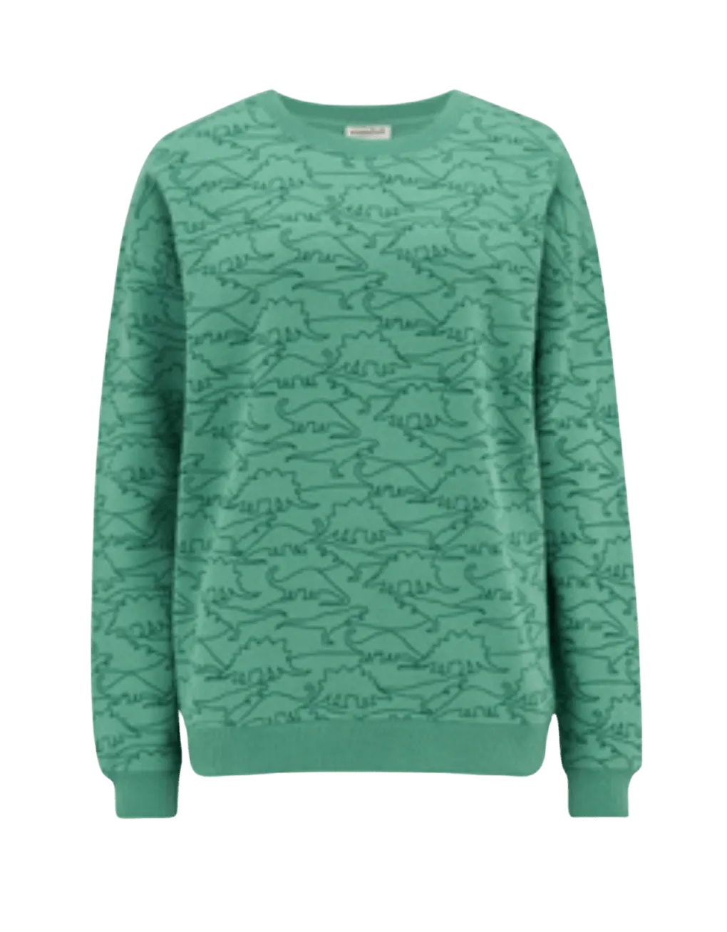 Sudadera Noah Green Dinosaur Lines - ECRU