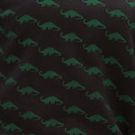 Sudadera Noah Negra Mini Dinosaurio - ECRU