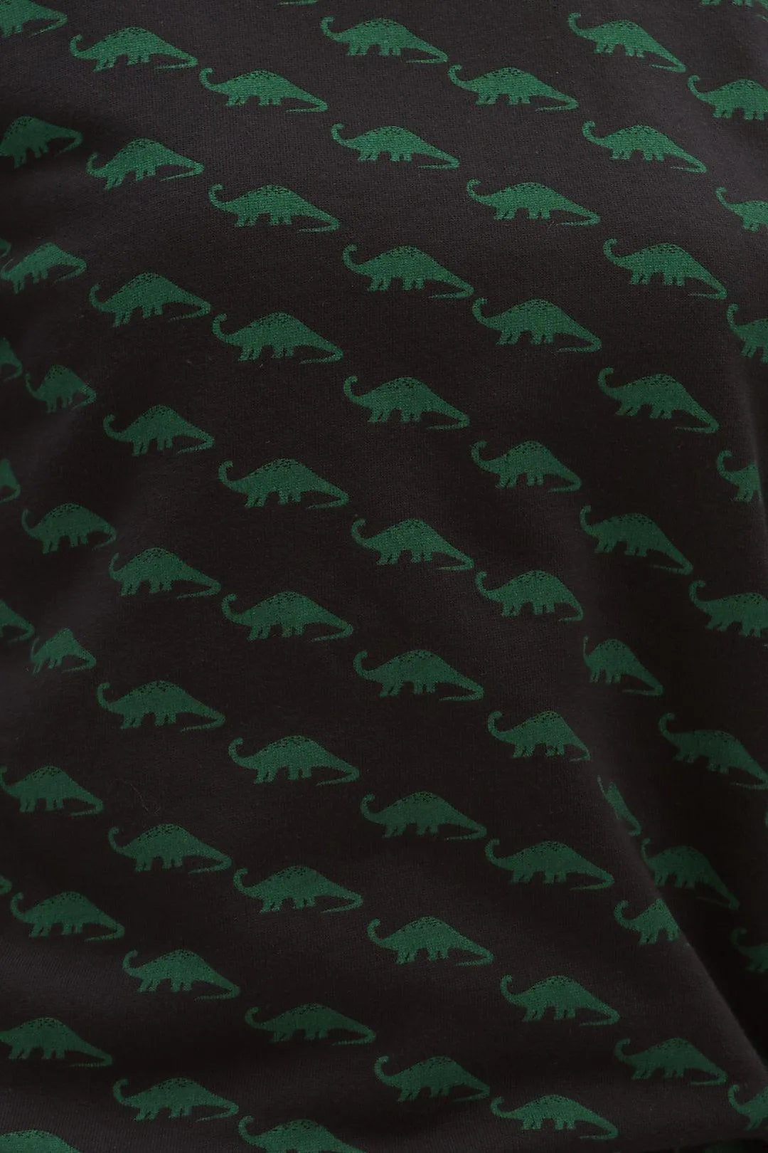 Sudadera Noah Negra Mini Dinosaurio - ECRU
